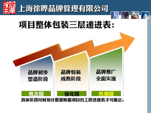 商业策划人刀锋于2013年末,为贵州毕节金街口商业地产项目定位策划案首度公开